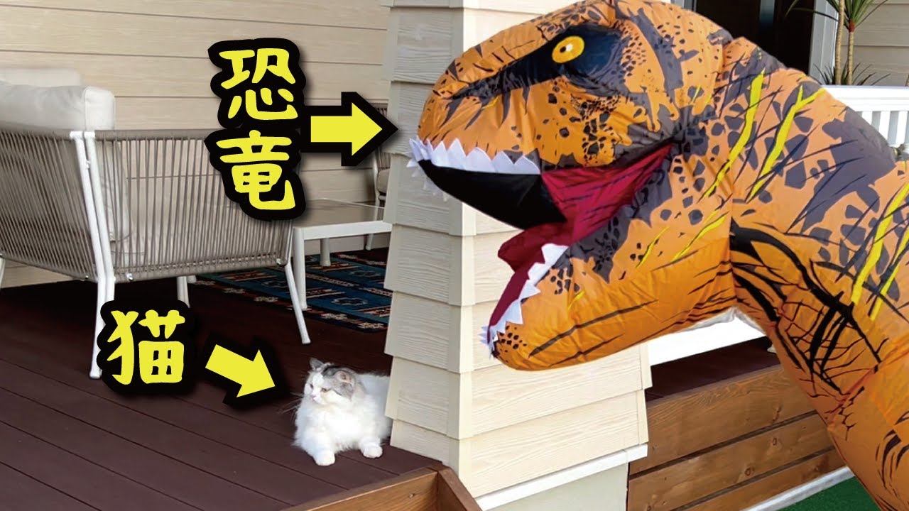 突然庭に恐竜が現れた時の猫の反応がヤバすぎた件【関西弁でしゃべる猫】【猫アテレコ】