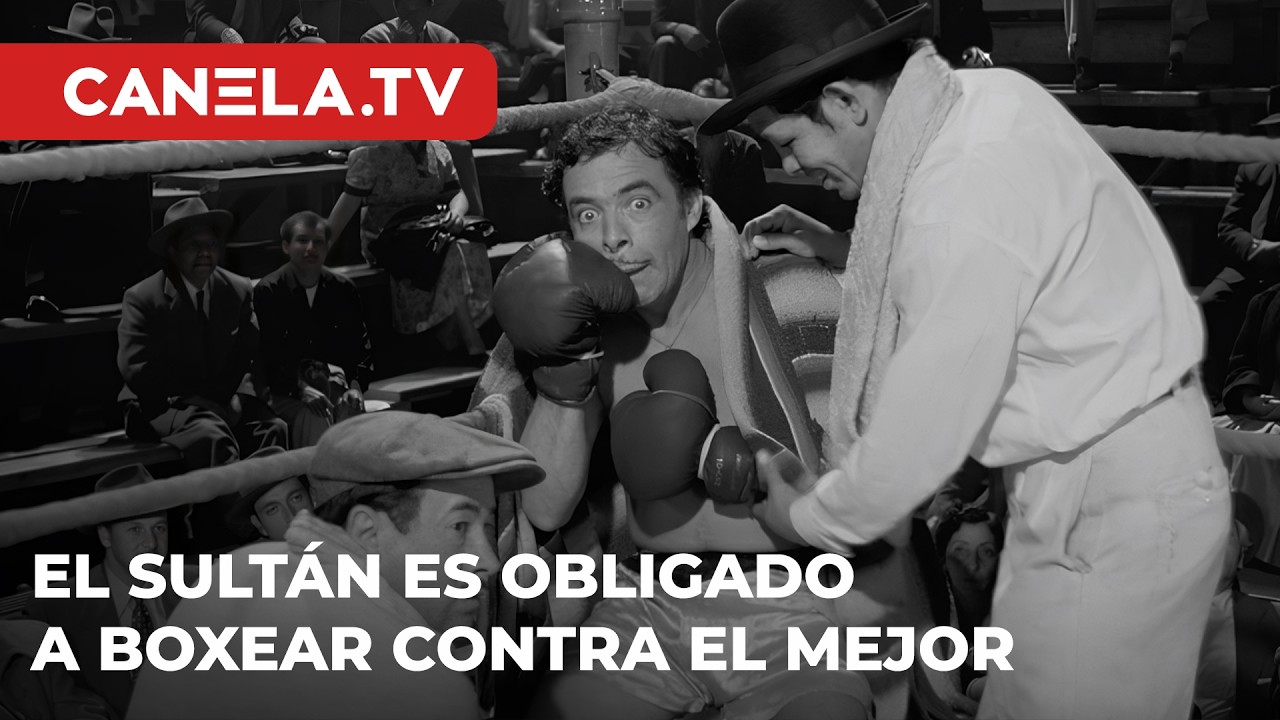 Obligan al sultán a boxear contra el mejor | 
