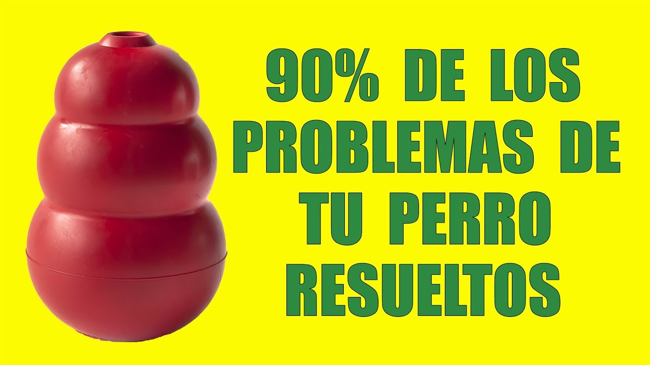 Cómo Usar un KONG para RESOLVER PROBLEMAS de COMPORTAMIENTO de tu Perro