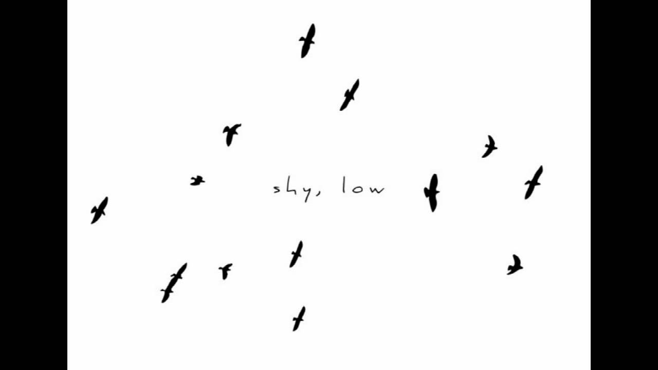 Shy, Low - Confirmation Bias