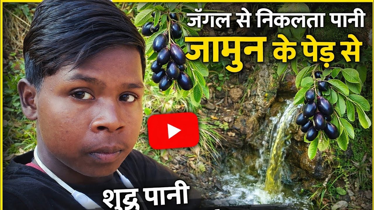 जंगल से निकलता पानी । जामुन के पेड़ से । Cg Baiga Vlogger 