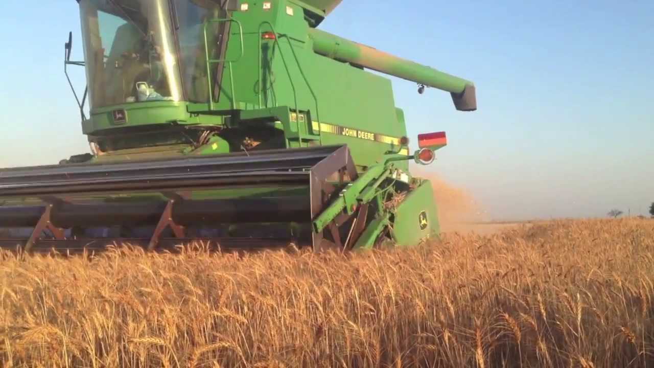 2013 West Texas Wheat Harvest