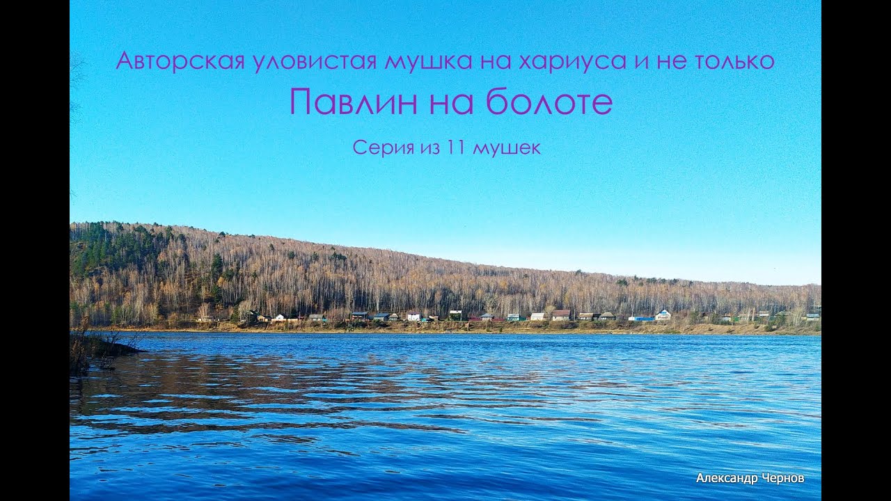 Авторская, уловистая мушка, павлин на болоте
