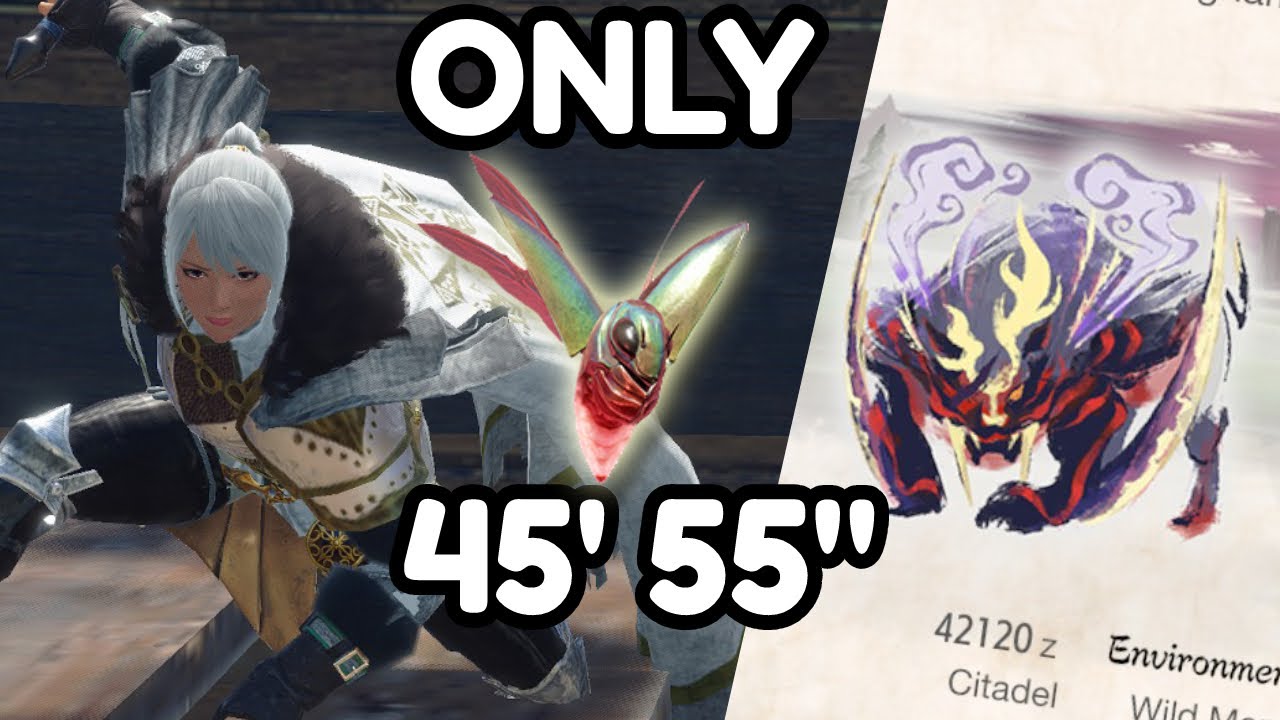 Beating A Monster With Only Wyvern Riding In Monster Hunter