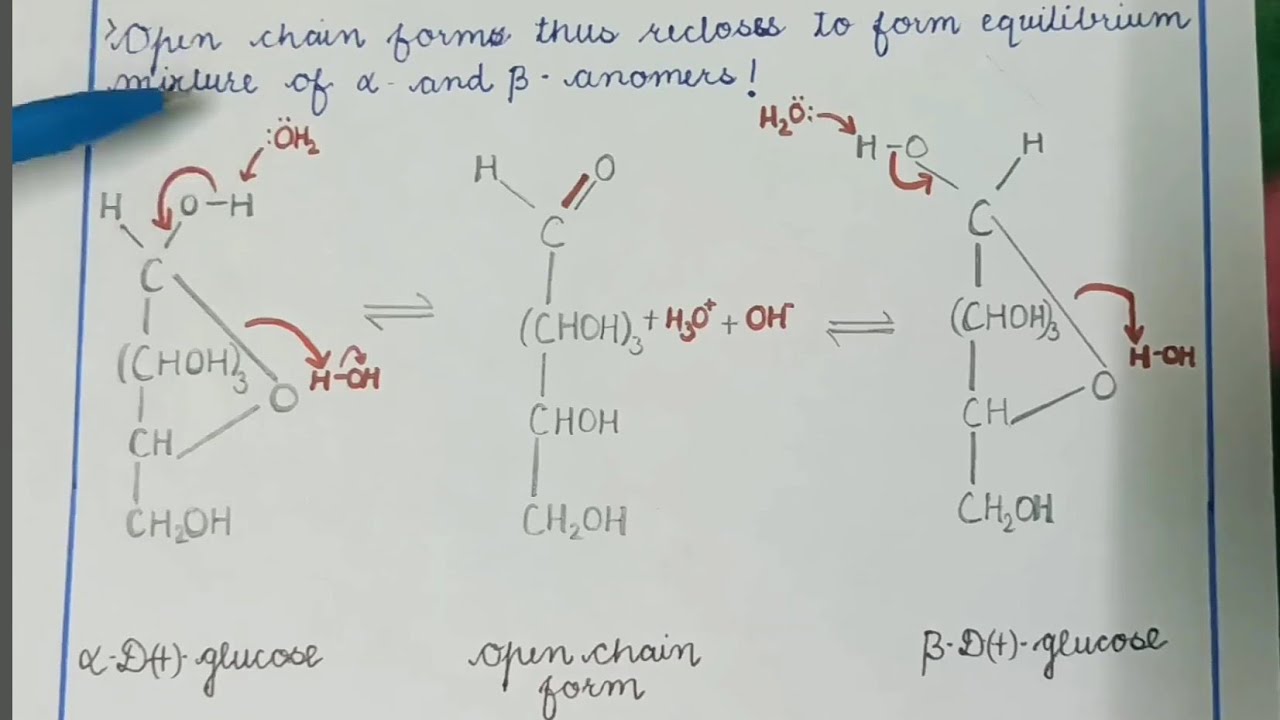 Mutarotation in glucose