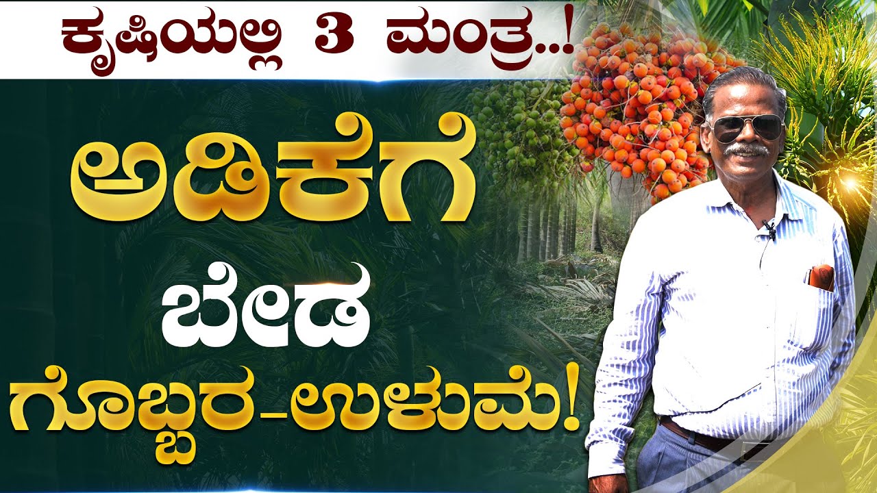 ಉಳುಮೆಗೊಬ್ಬರಕಳೆ ನಿರ್ವಹಣೆ, ಇಲ್ಲದ ಅಡಿಕೆ!Grow areca nut without tillage,fertilizer,weed management#ಅಡಿಕೆ