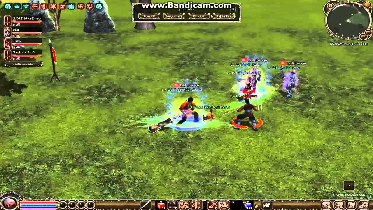Metin2Nexus Damage Record