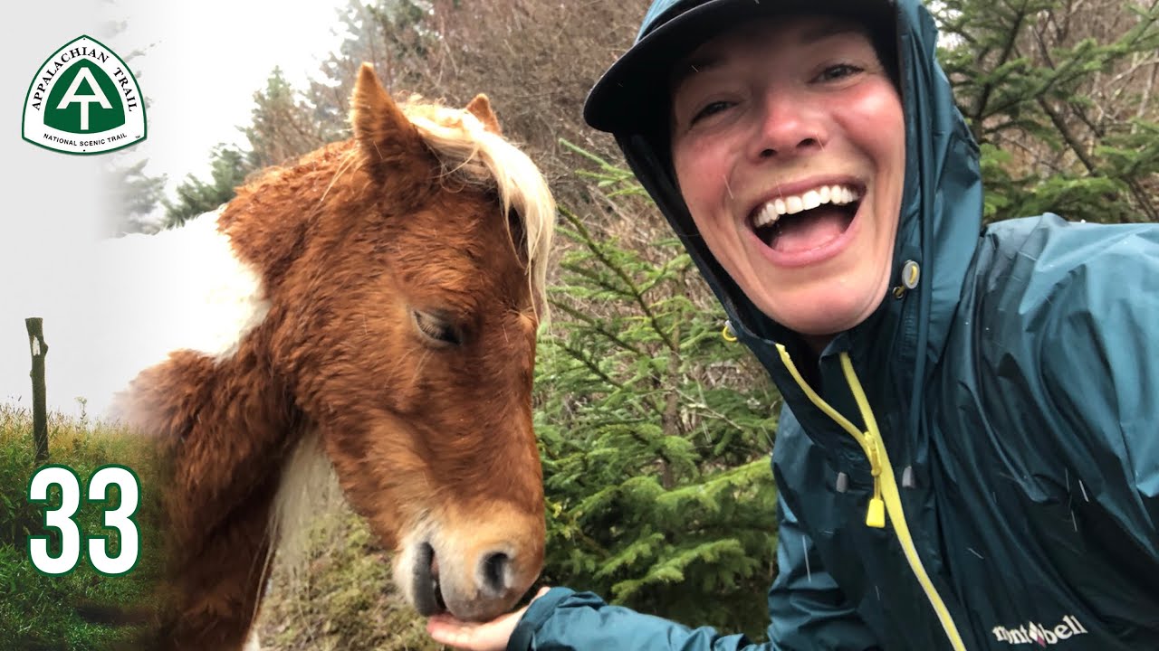 Day 42 | 500 Miles! + Magical Pony Day! in Grayson Highlands | Appalachian Trail (AT) Thru Hike 2021