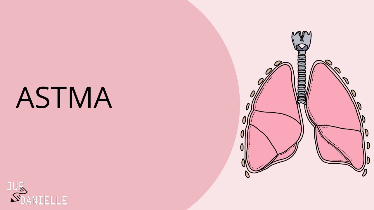 Astma  |  Oorzaken, Symptomen, Diagnose en Behandeling