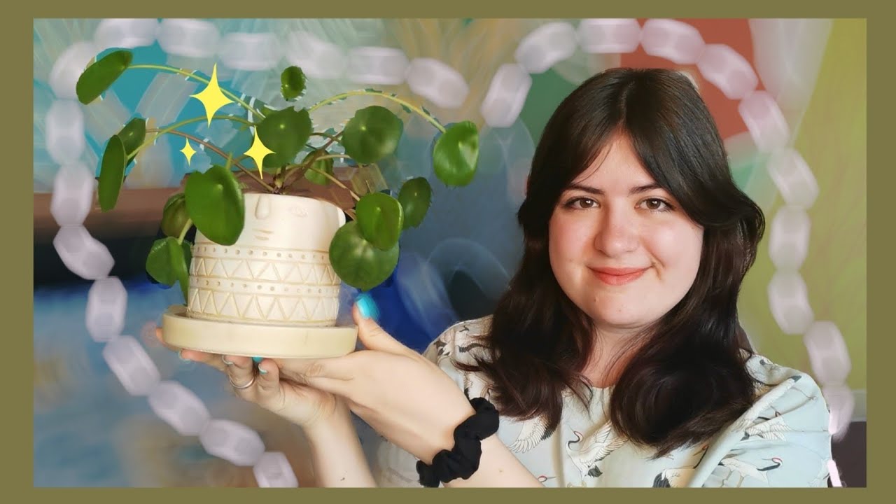 ИНТЕРЕСНЫЕ горшки и кашпо 🌱 Рассказываю ГДЕ купила