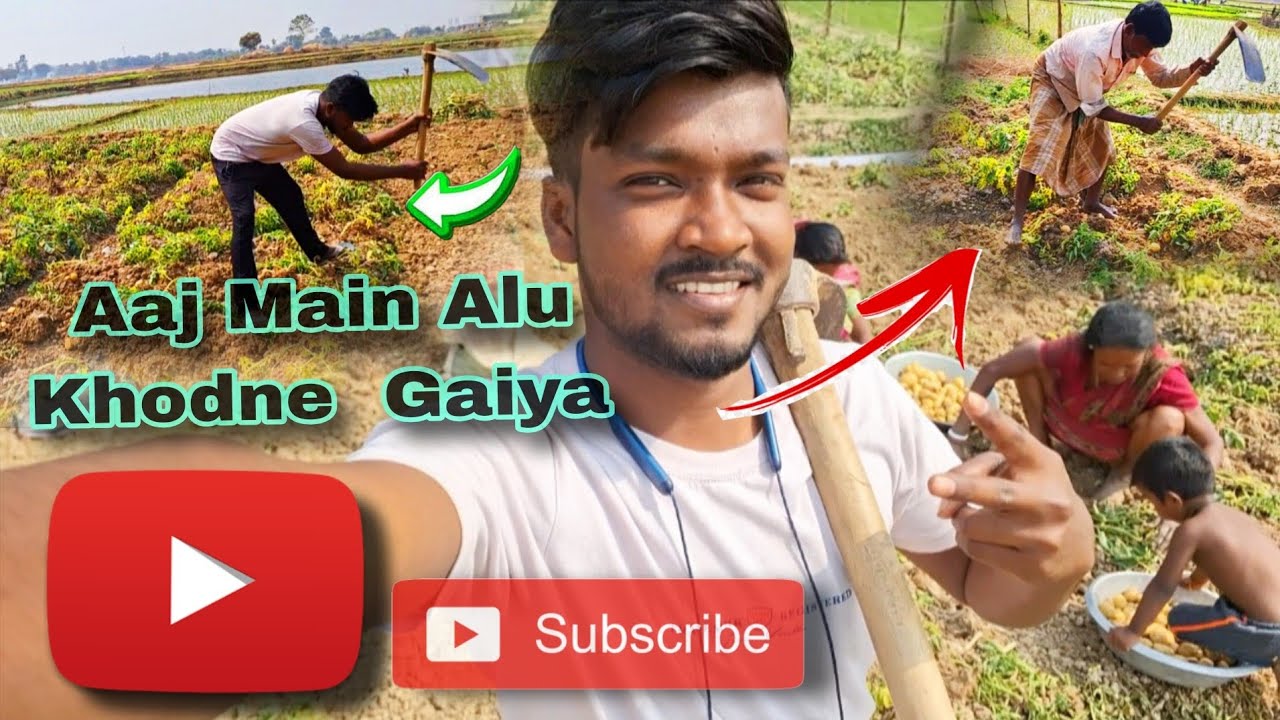 Hamara Jamin Ka Alu Dakho #vlog #indianvlogger #lifestylevlog 