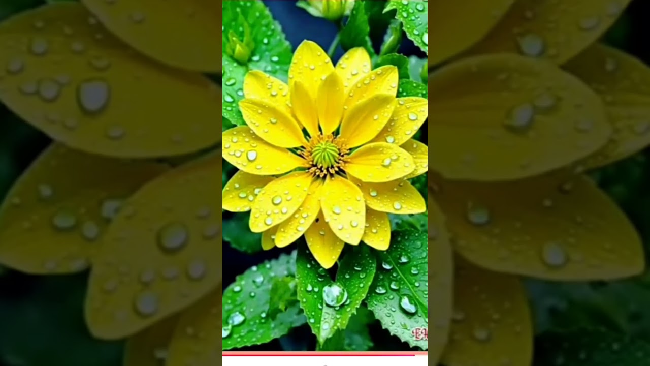 funny#video#wwiii#wwwii#wwiii#wwii#wwwiii#wwwiii#wwwi#