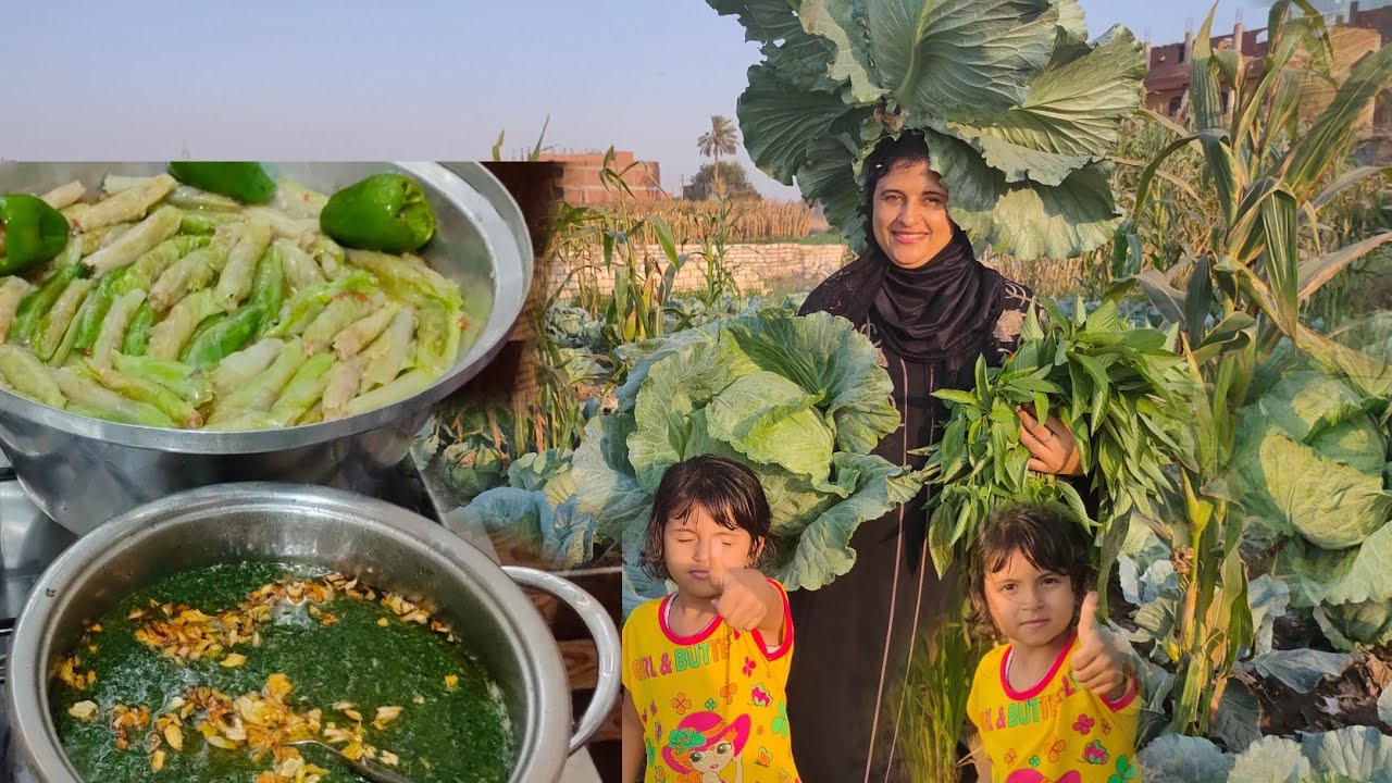 #روتين الفلاحين دايما جاهزين بخير أراضيهم معمرين عزومه لا علي البال ولا الخاطر فيديو بدون مونتاج