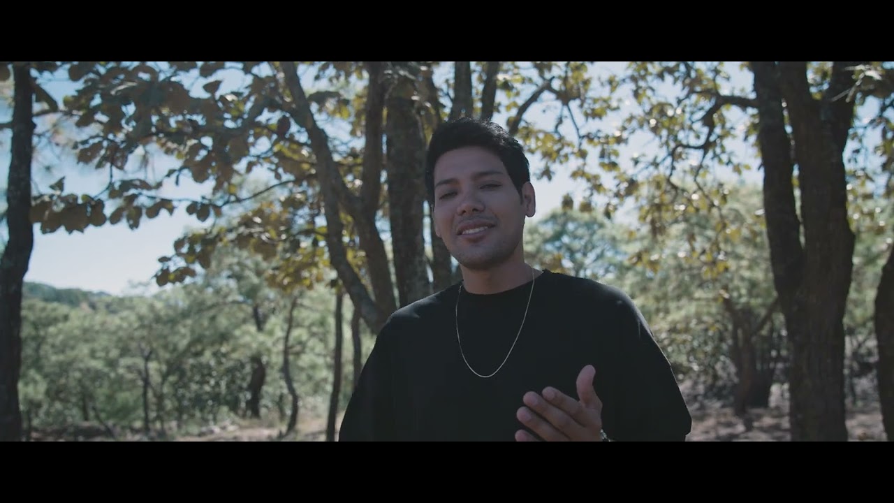 Julio Barraza  -  Adios Mi Vida