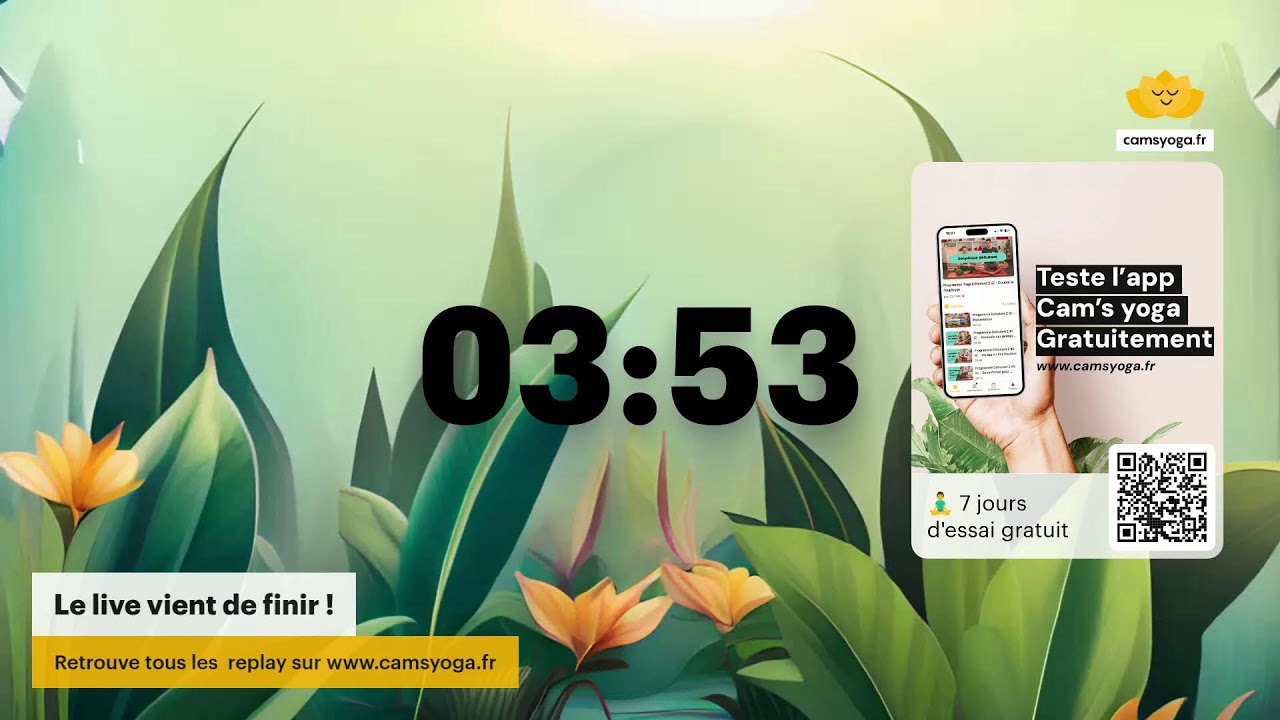 🧘‍♂️ Yoga Gratuit - 45 min | Cam's Yoga