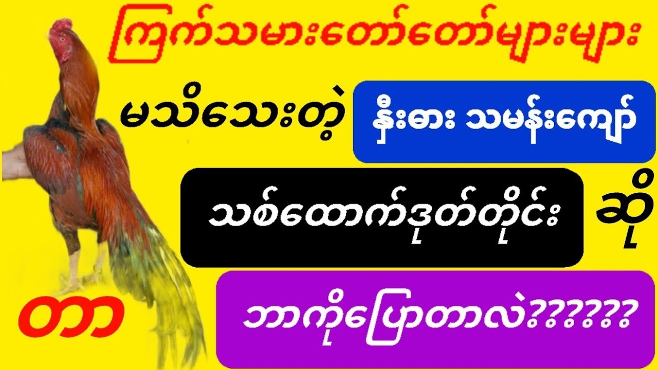 @ကြက်သမားတော်တော်များများမသိသေး နှီးဓားသမန်းကျော်၊သစ်ထောက်ဒုတ်တိုင်း ဆိုတာဘာကိုပြောတာလဲ??ဗဟုသုတရစေရ