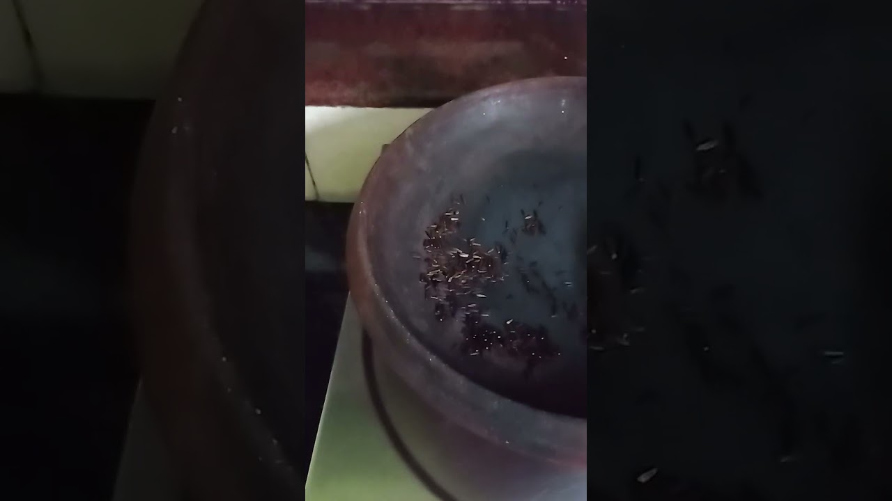 ಕಾಳು ಜೀರಿಗೆ ಕಷಾಯ 
