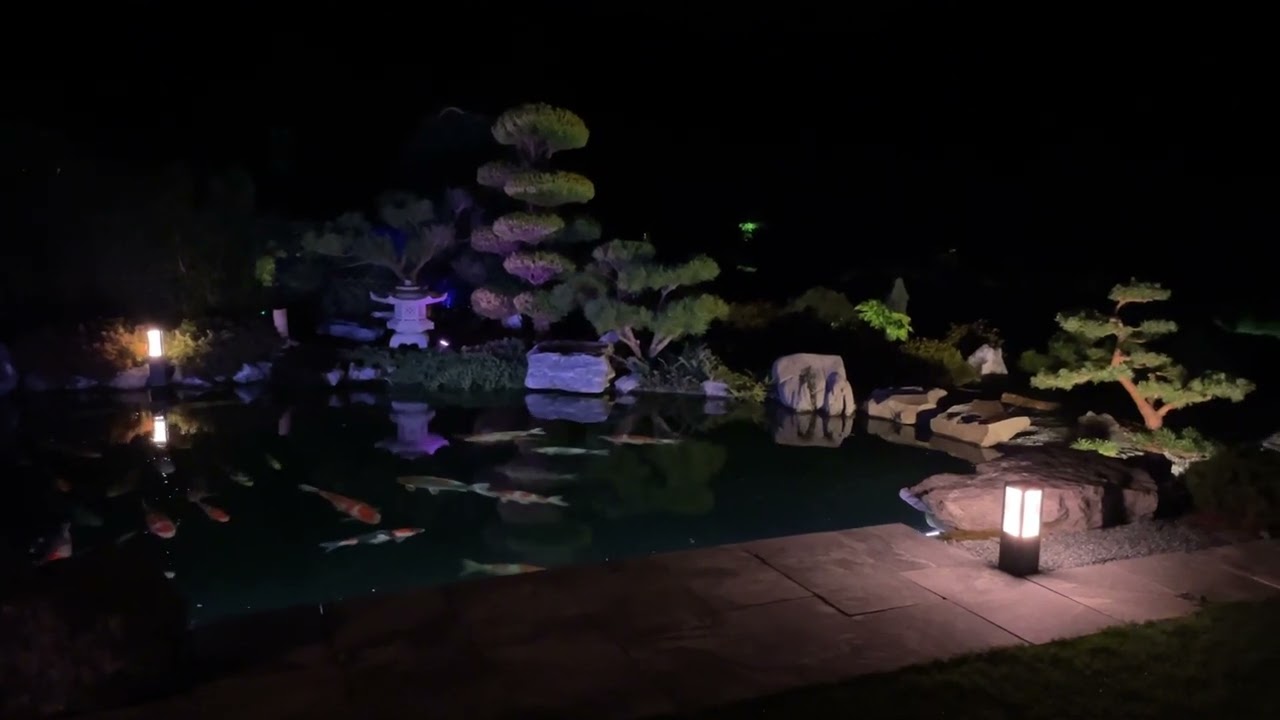 KOI LOUNGE Zürich VLOG No 3: Philipp’s Privatteich by night