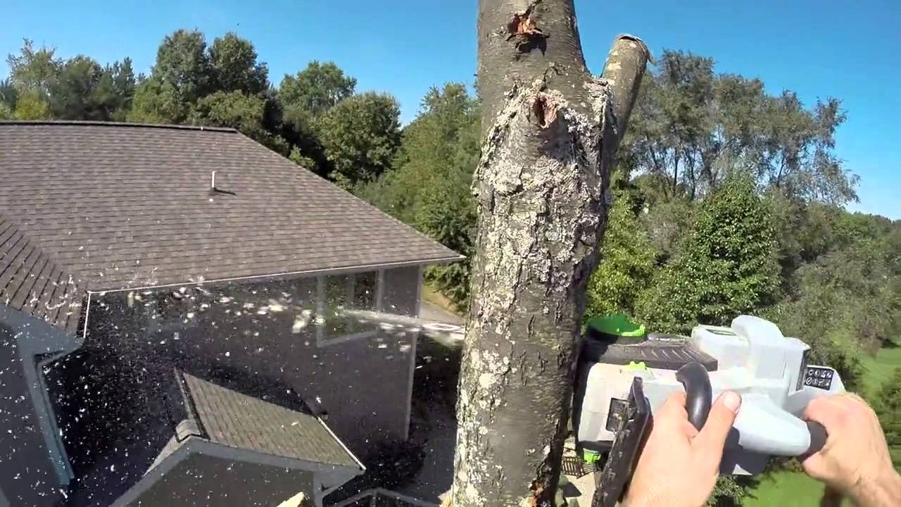 EGO 56 volt Power Plus Chainsaw Pro Review
