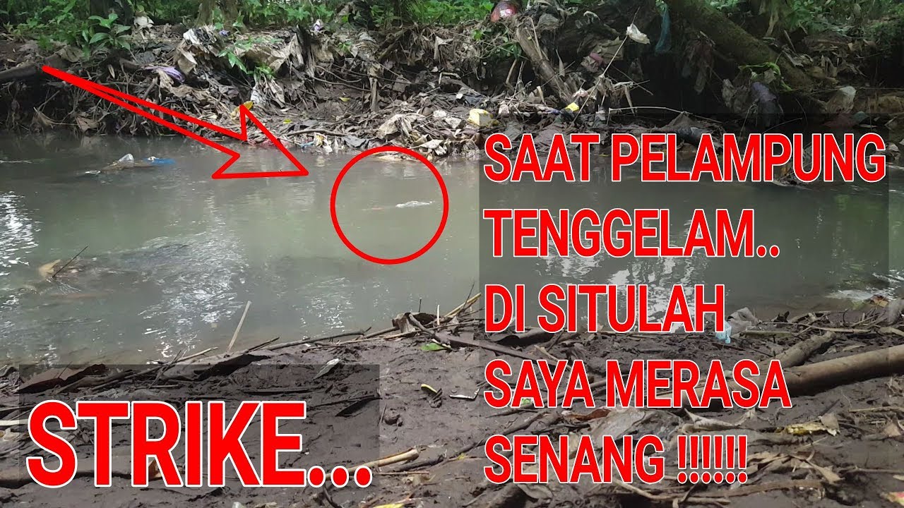 MANCING IKAN MARACOCA MANTAPP TARIKAN NYA MAS BRO