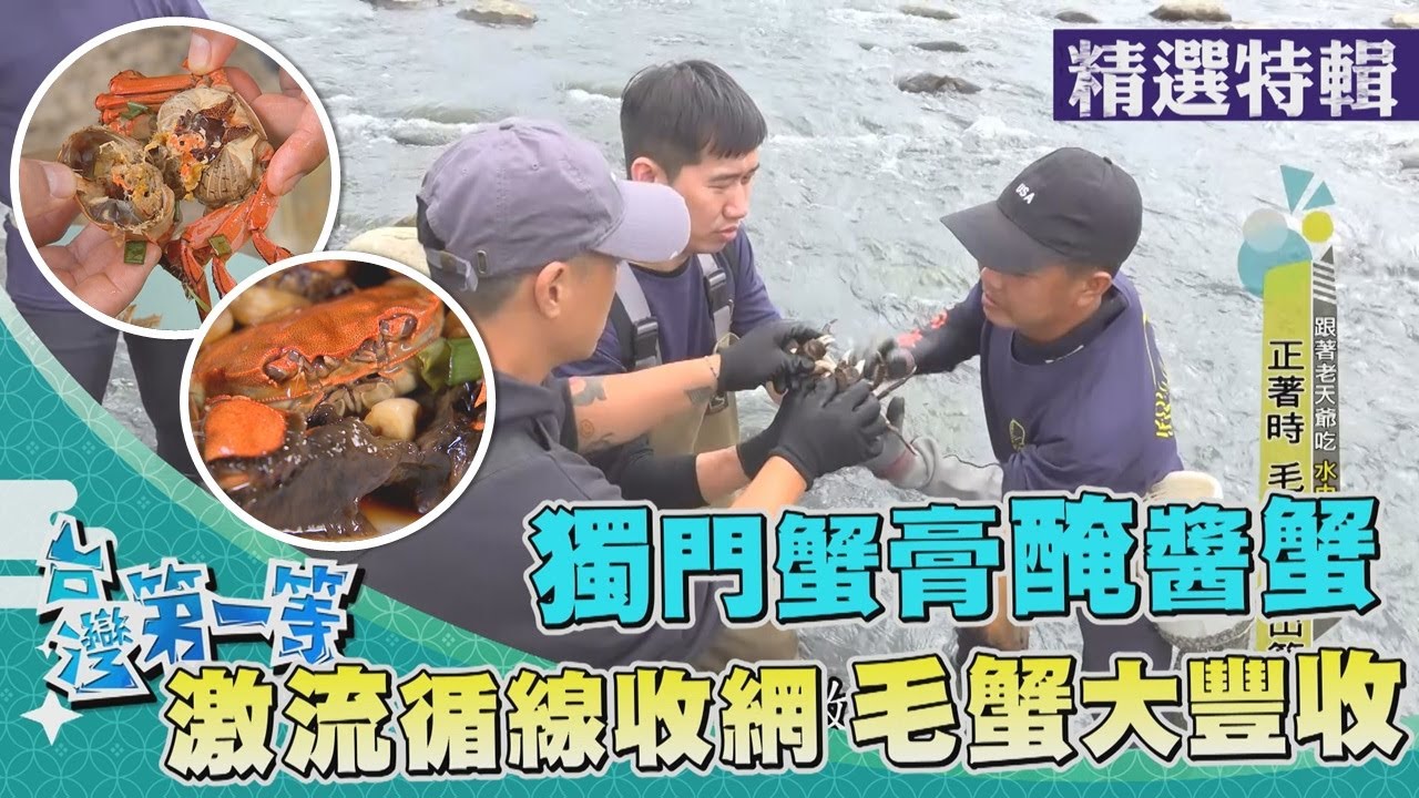 台灣第一等【蛤蜊故鄉好美寮濕地 阿嬤配方冰沙蛤蜊給／鳳山溪激流尋毛蟹 獨門蟹膏醃醬蟹】 _精選特輯