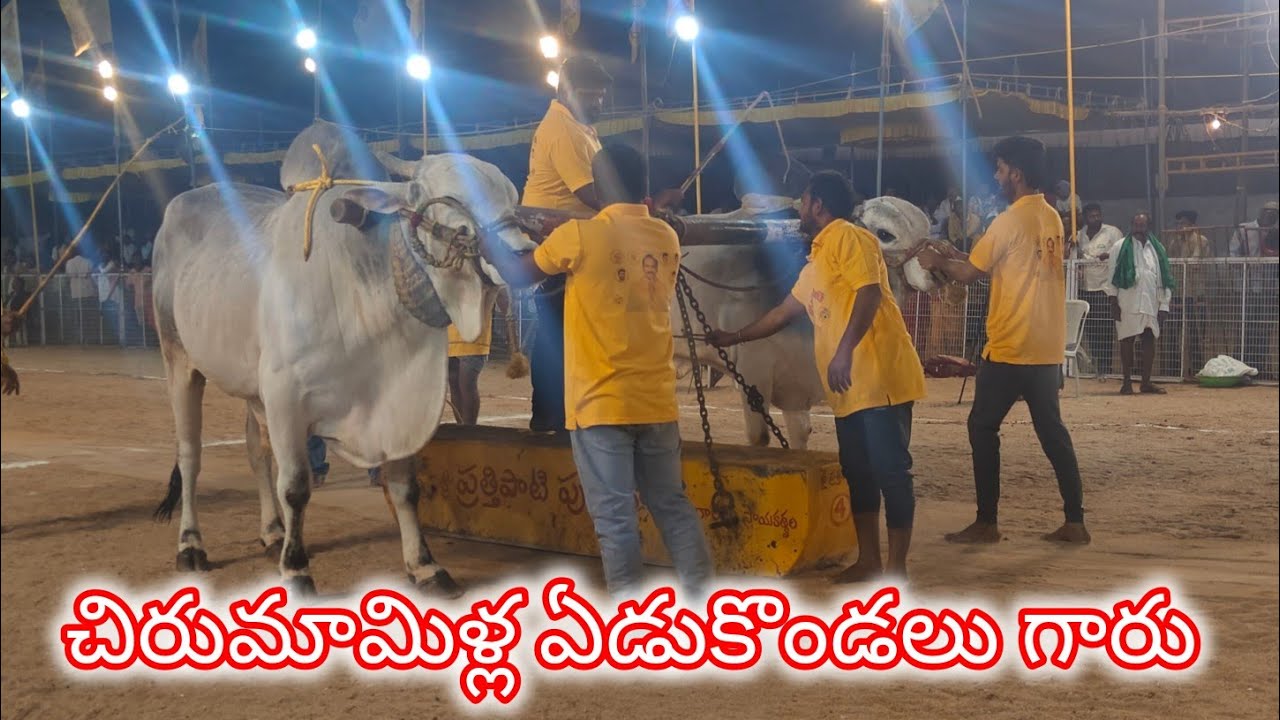 చిలకలూరిపేట న్యూ కేటగిరి 5వ చిరుమామిళ్ల. ఏడుకొండలు గారు కుందుర్తి గ్రామం ప్రకాశం జిల్లా