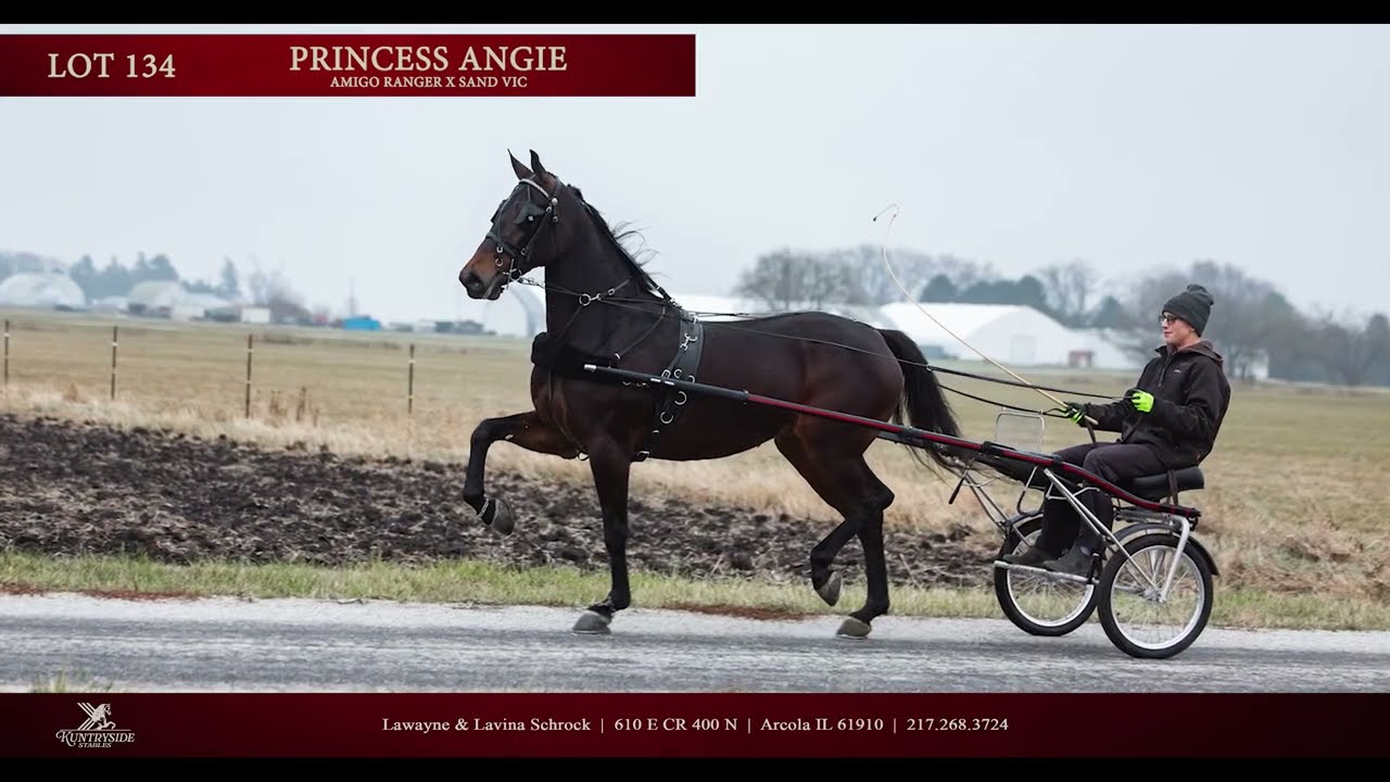 Kuntryside Stables