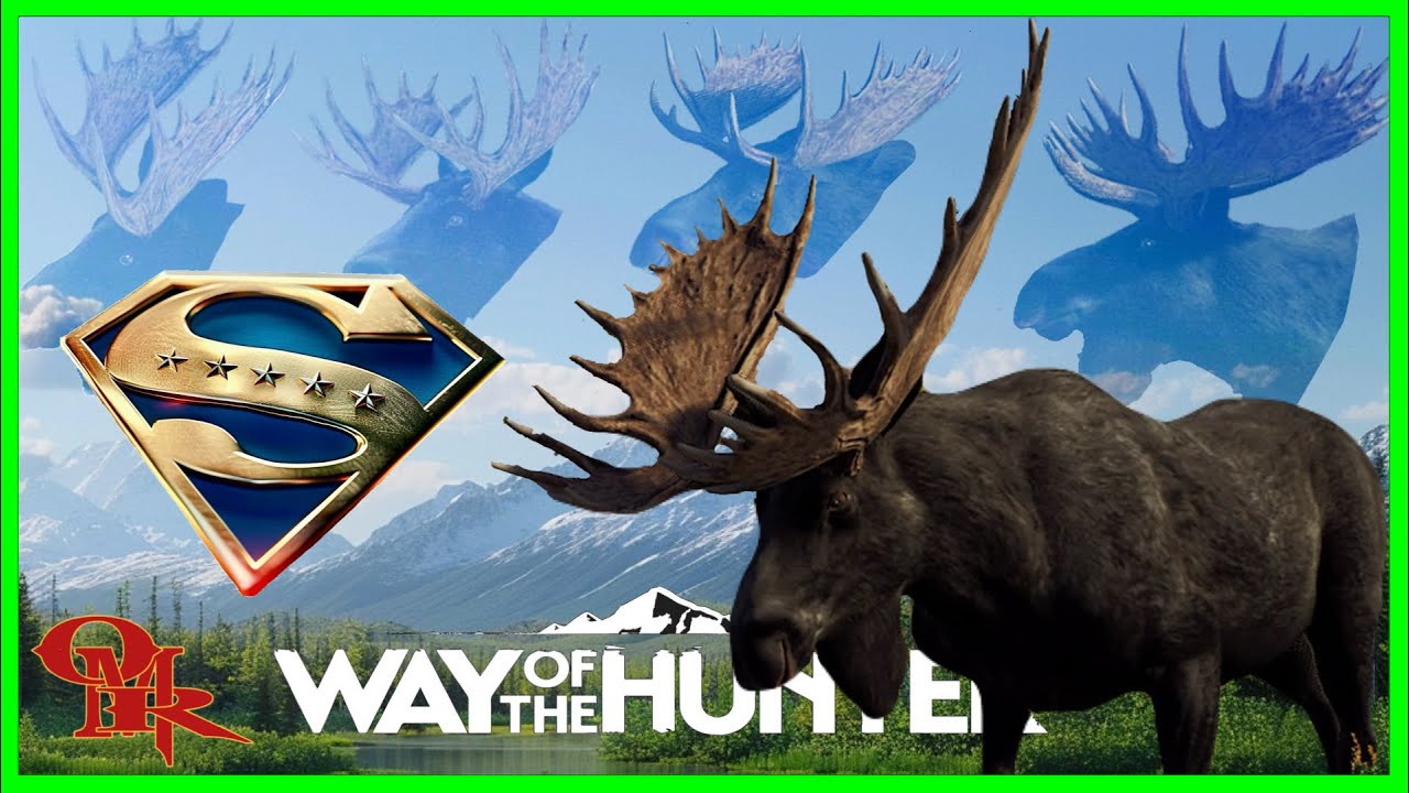 Aging a Five Star MELANISTIC SUPER RARE Super Five Moose | Way Of The Hunter