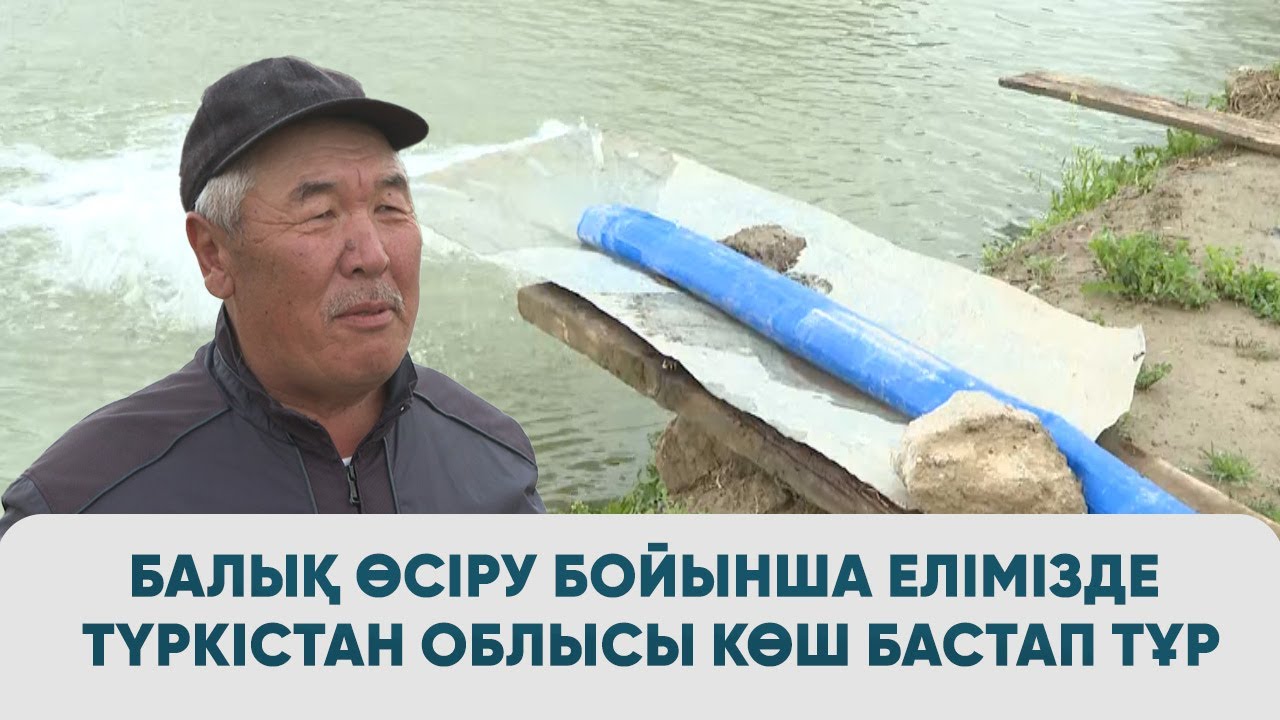 Балық өсіру бойынша елімізде Түркістан облысы көш бастап тұр