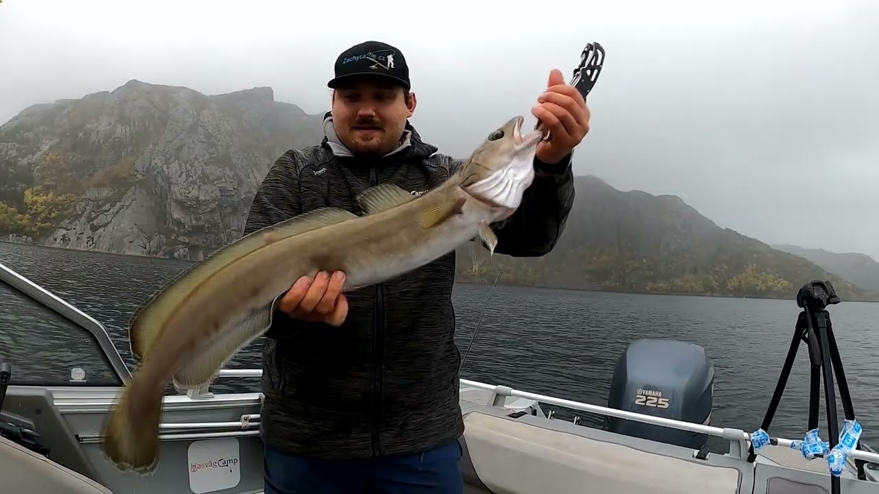 Float fishing from anchored boat