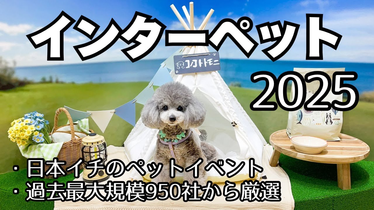 【インターペット2025】950社から厳選して愛犬とまわってみました！