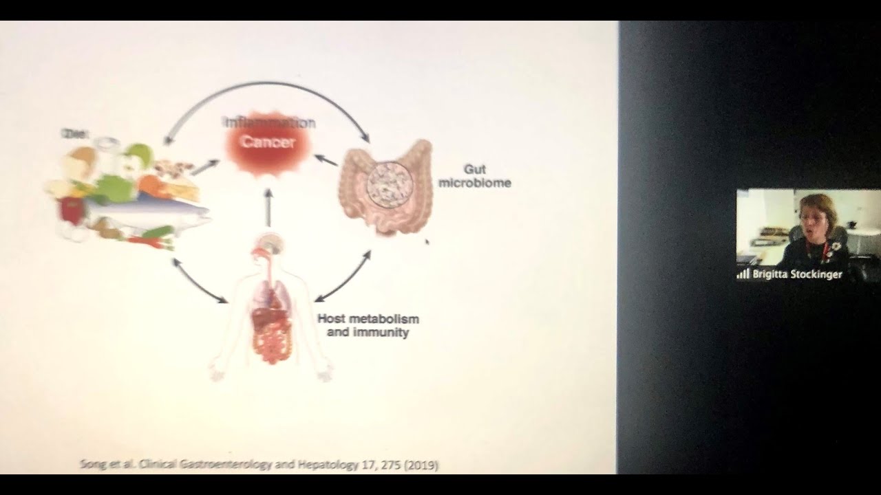 Regulation of intestinal inflammation & tissue repair by environmental factors  Dr. Gitta Stockinger