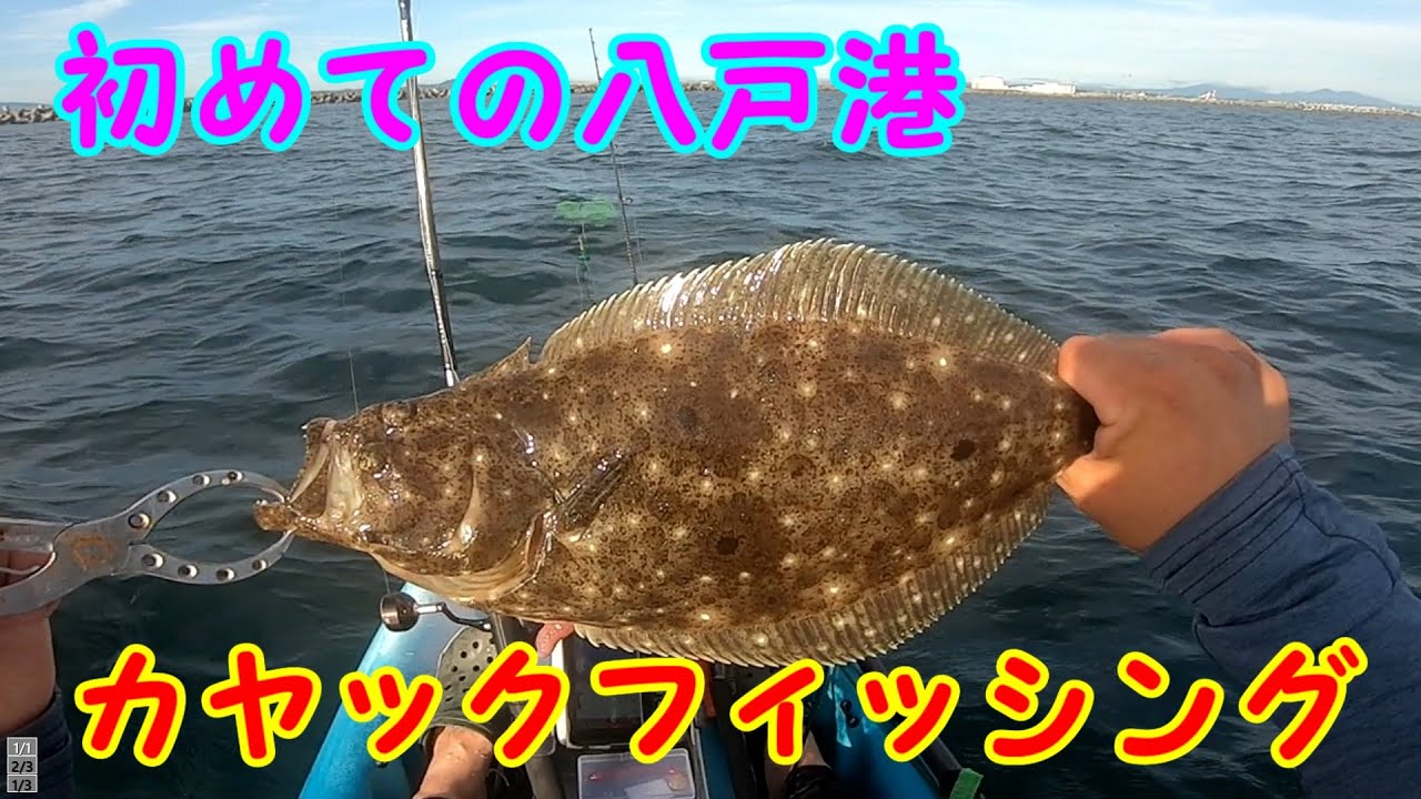 【Fishing】初めての八戸港