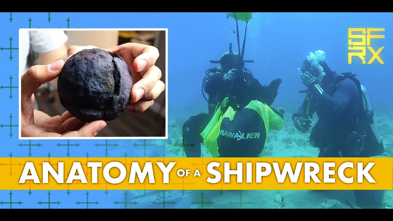 The Anatomy of a Shipwreck | Our In-house Artifacts