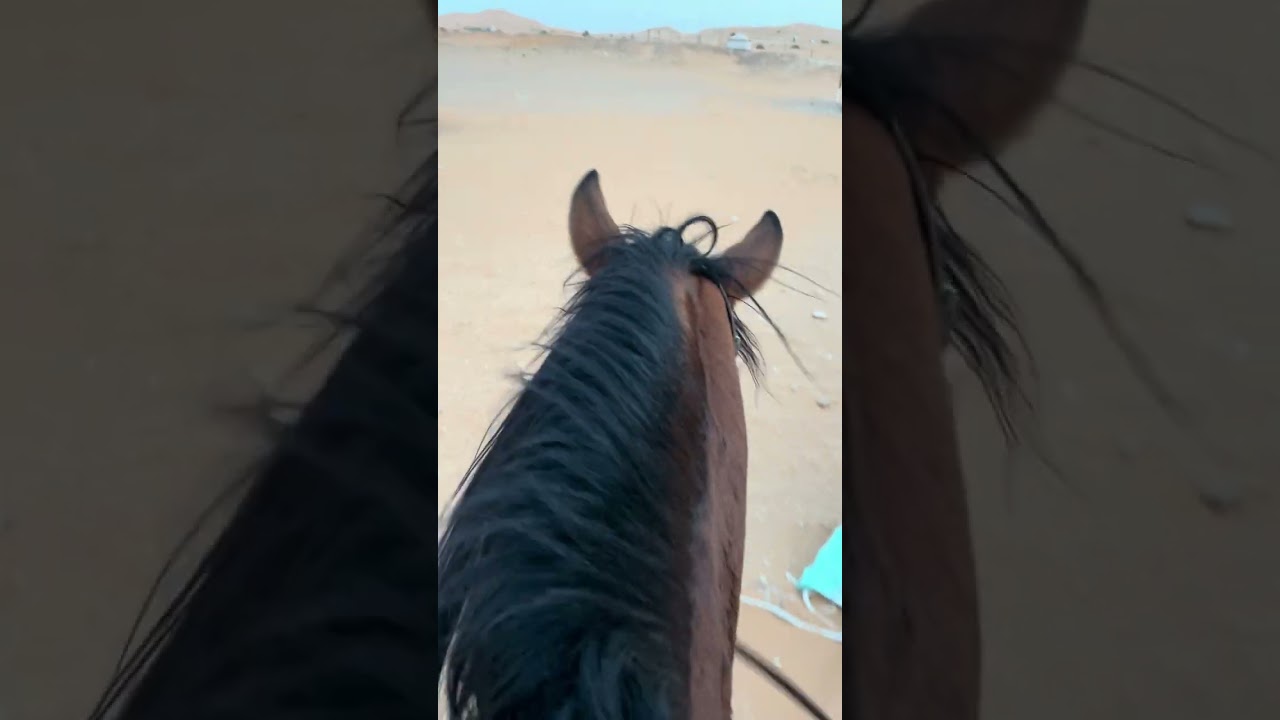 التحكم باتجاه واندفاع الحصان في الاماكن الضيقه 