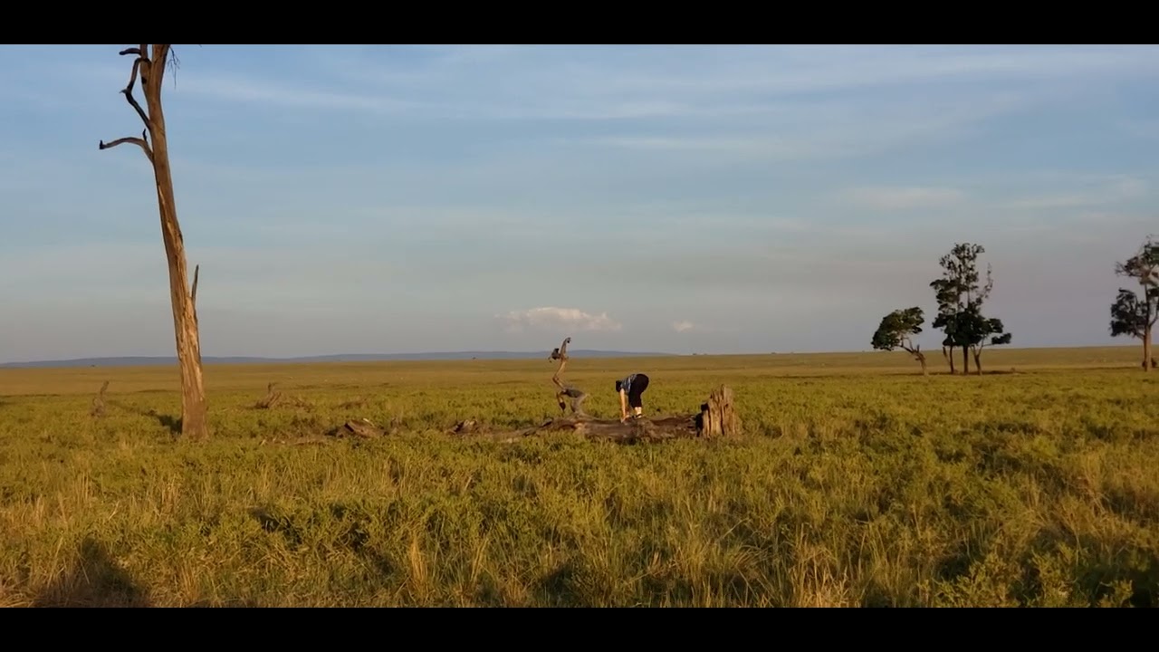 Golden skies & great company. sundowner in the wild,epic Kenyan safari  #ZuphoriaSafaris #viral 