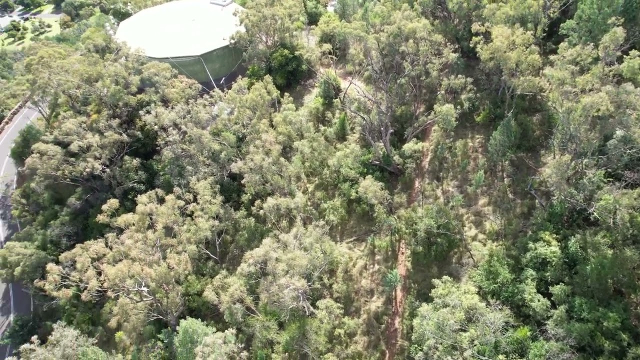 Ross 2022 Tamworth trail run