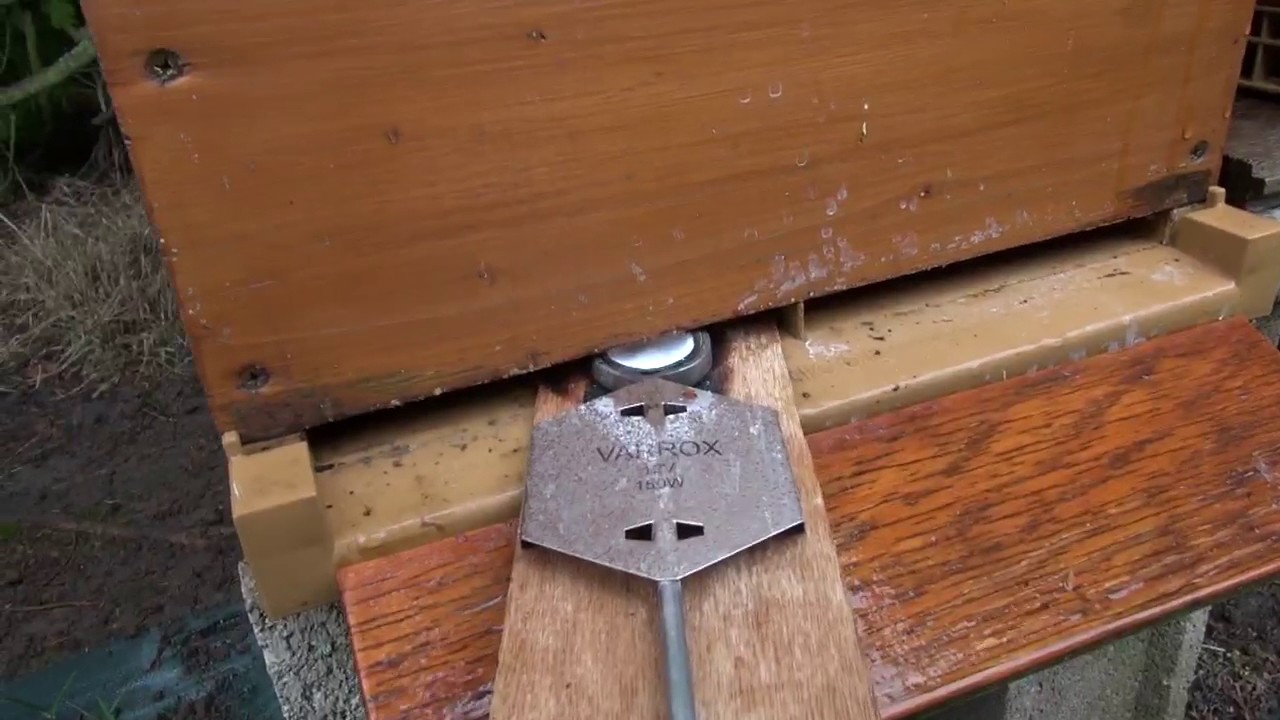 Traitement anti-varroa à l'acide oxalique par sublimation
