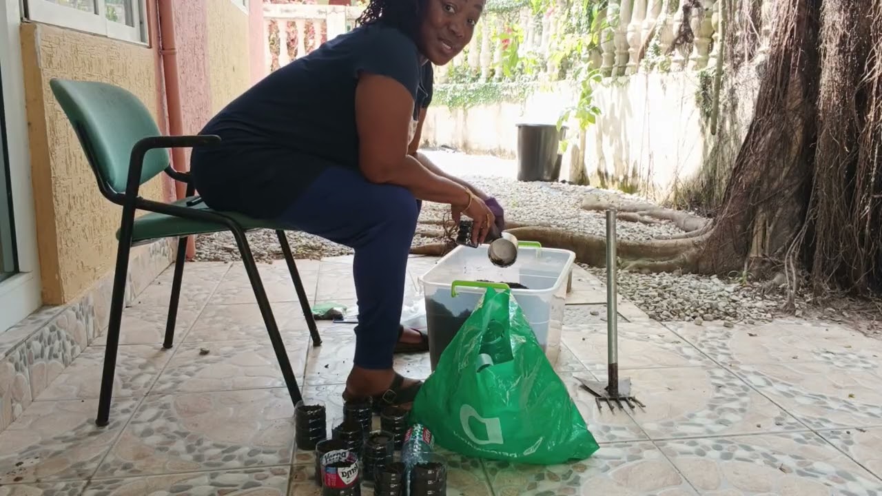 Building Ghana:Updates and seedlings#ghana #containerhome #diasporaghana #farming #ghanavibes 