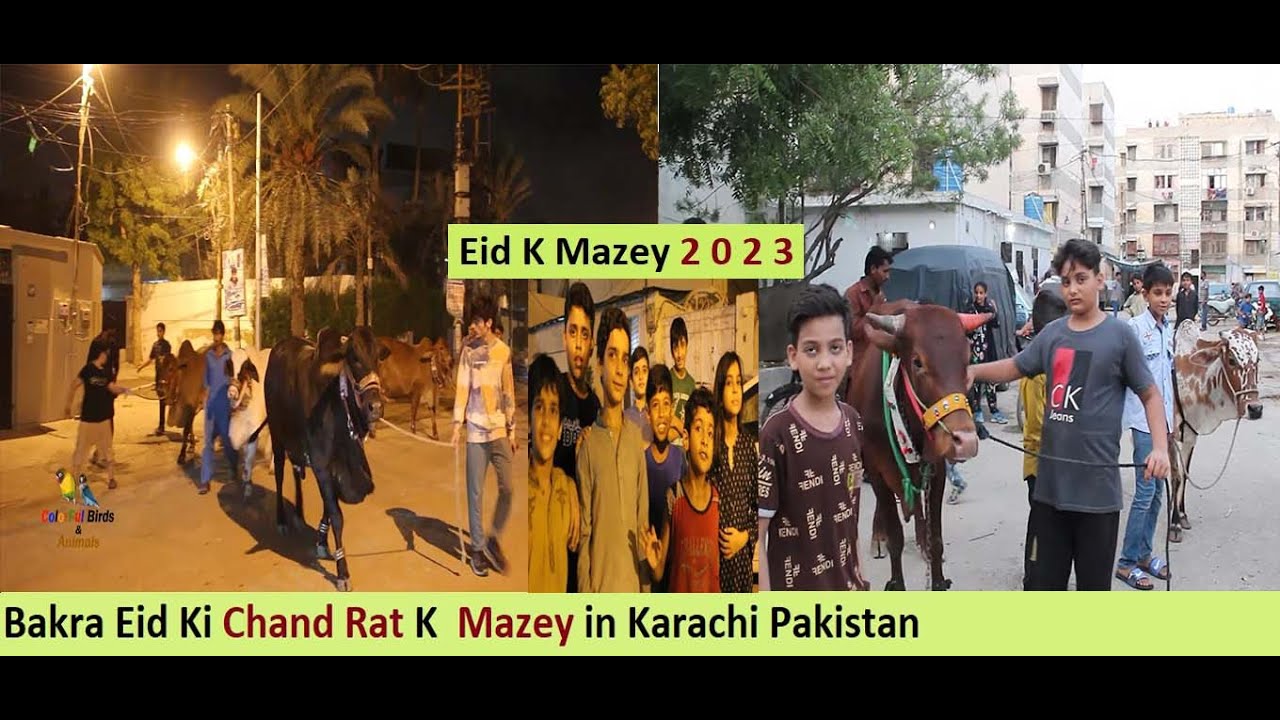 Bakra Eid Ki Chand Rat K  Mazey in Karachi Pakistan - Bakra Eid Ka Maza tu Pakistan Men hi Hai