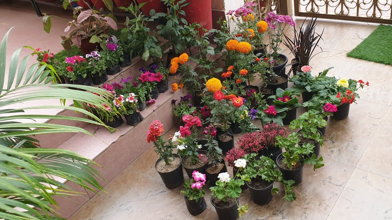 My Sunday Garden Shopping Haul || Fun Gardening