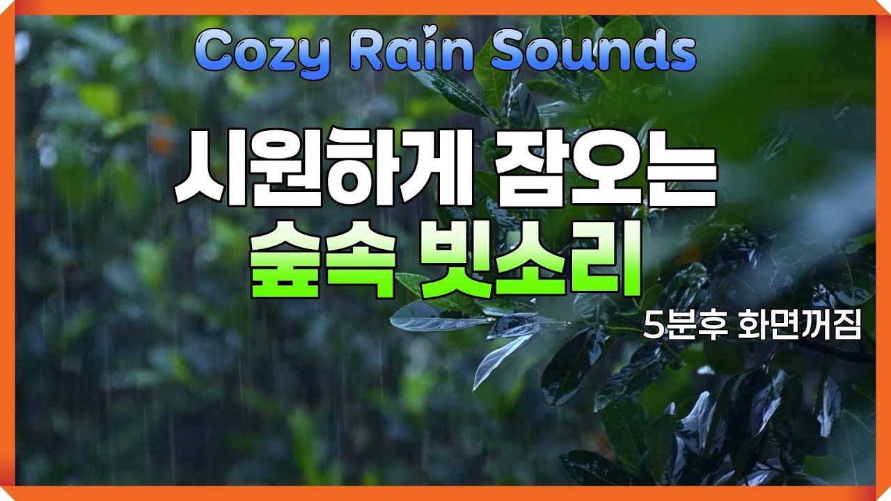시원하게 잠오는 숲속 빗소리/ 5분후 화면꺼짐
