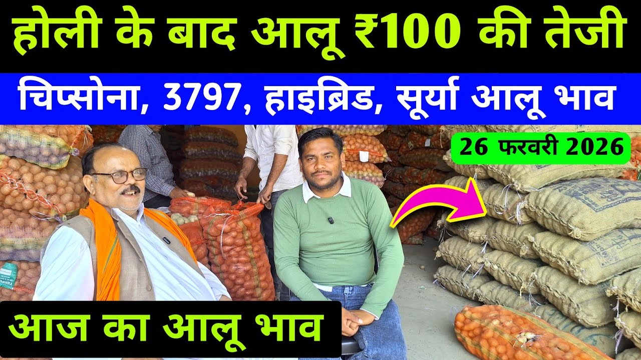 होली बाद आलू मे ₹100 की तेजी 💥 aaj ka aalu ka bhav | potato rate today | aligarh mandi bhav 