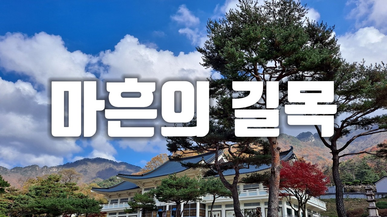 마흔의 길목 – Suno Simple Style 20곡 감성 컬렉션