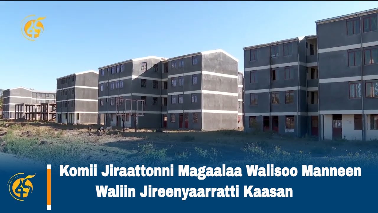 Komii Jiraattonni Magaalaa Walisoo Manneen Waliin Jireenyaarratti Kaasan