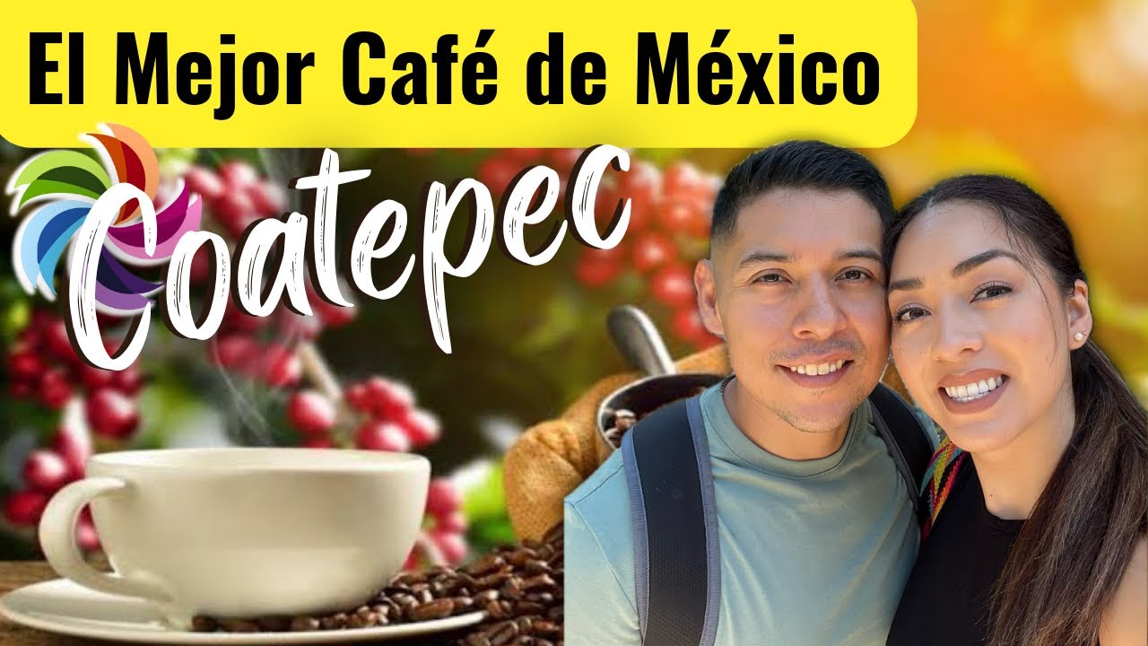 Coatepec Veracruz hace el MEJOR CAFÉ en México