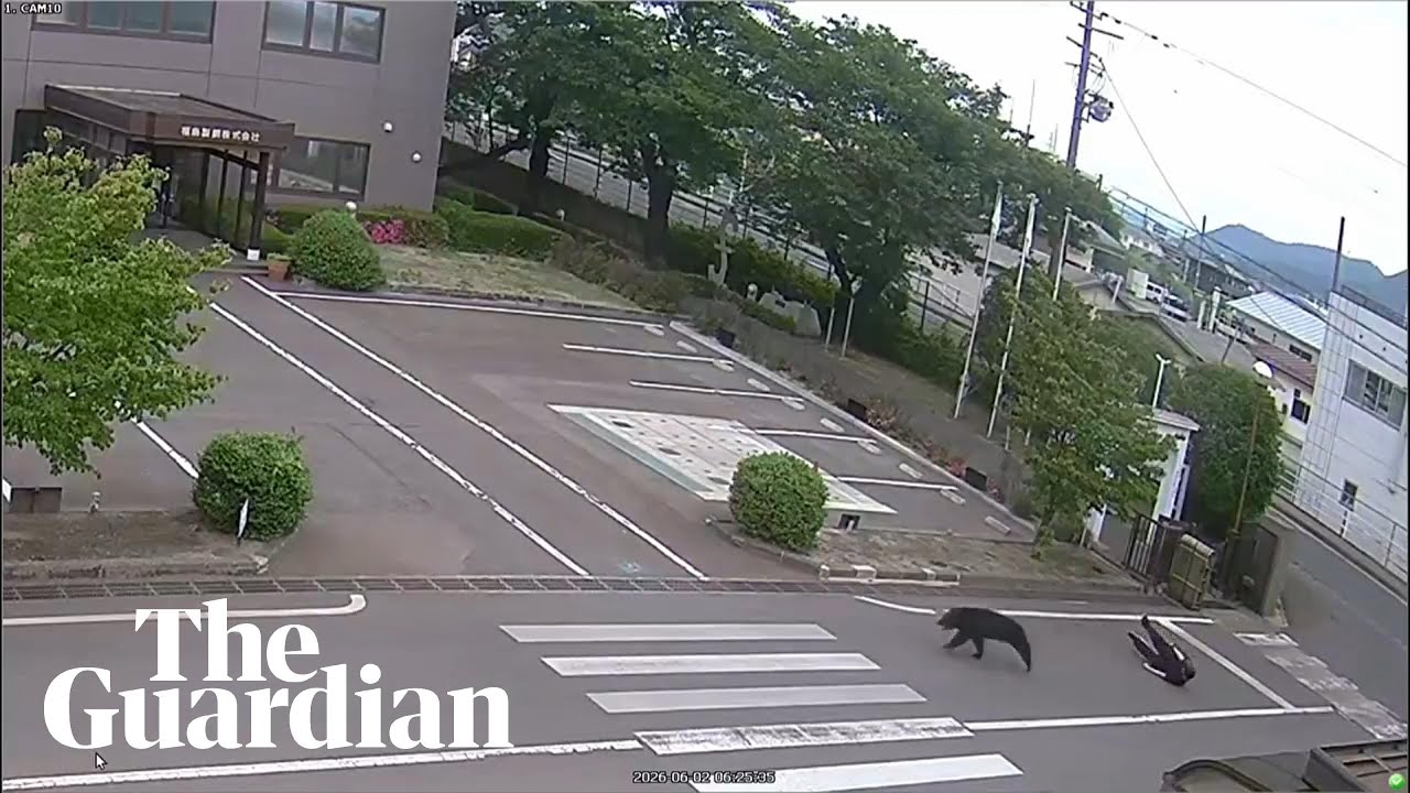 Bear chases man in Fukushima, Japan