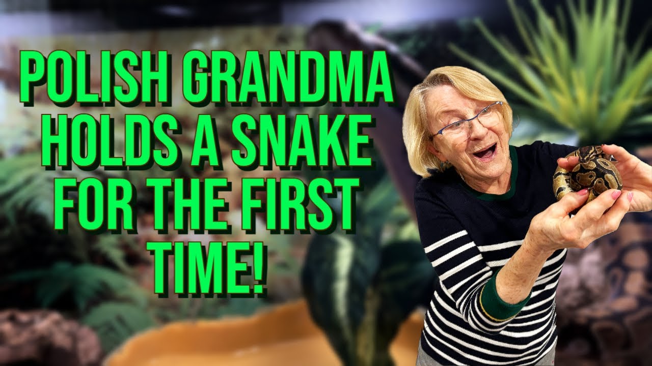 Teaching Grandma to Hold a Snake (first time ever!)