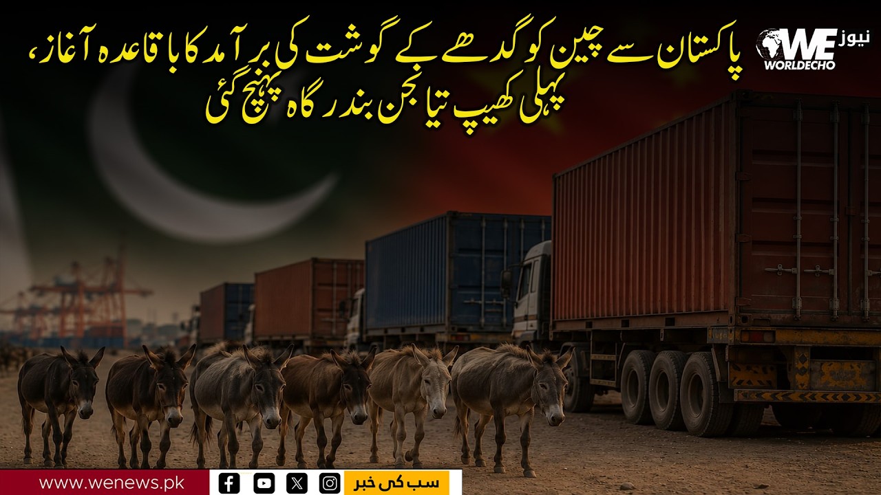 Pakistan officially begins donkey meat exports to China WeNews