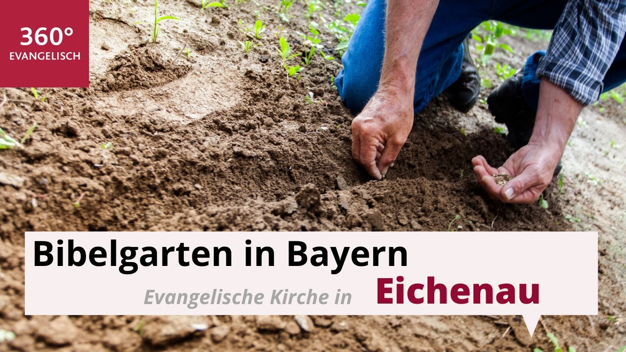 Evangelische Friedenskirche Eichenau: Bibelgarten mit Pflanzen der Bibel